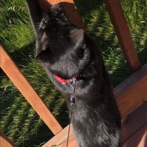 Meet your Posher, Micki